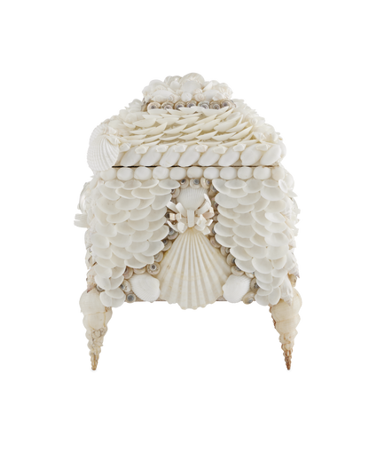 Currey & Co. Boardwalk White Shell Jewelry Box 1200-0612